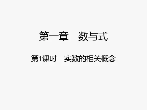 2024年江西省中考数学总复习(第1课时)实数的相关概念讲练课件  27张PPT
