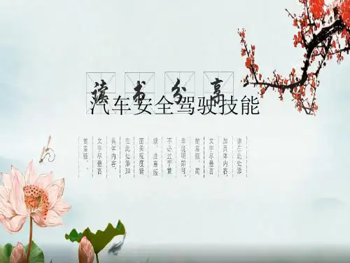 汽车安全驾驶技能(讲.