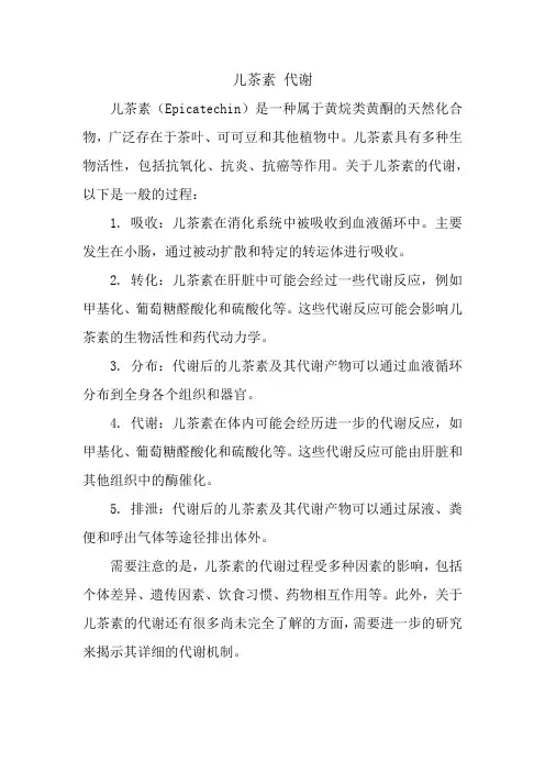 儿茶素 代谢