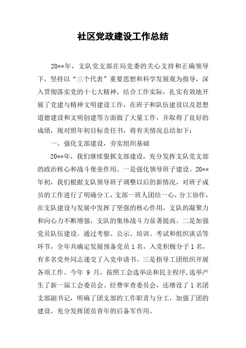 社区党政建设工作总结
