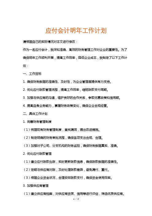 应付会计明年工作计划