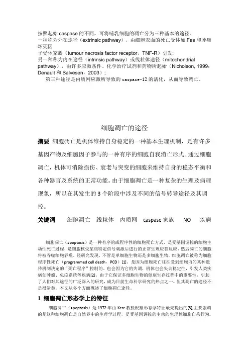 细胞凋亡的途径