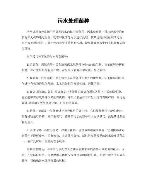污水处理菌种