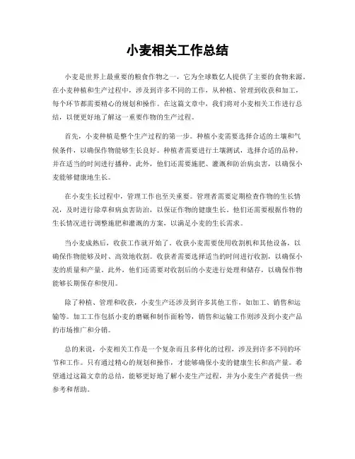 小麦相关工作总结