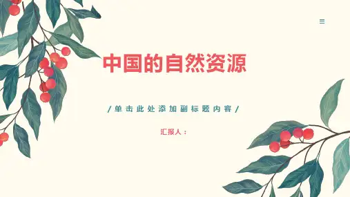 中国的自然资源