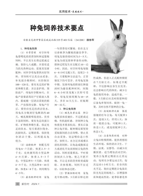 种兔饲养技术要点