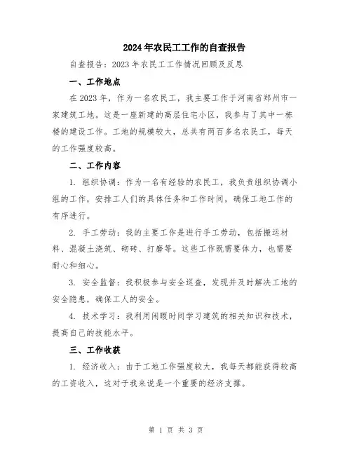 2024年农民工工作的自查报告
