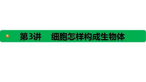 初中生物第3讲细胞怎样构成生物体