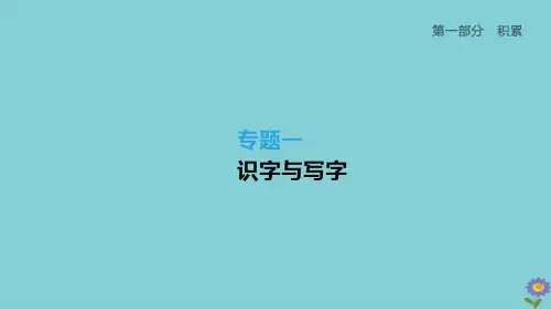 (柳州专版)2020版中考语文夺分复习第一部分积累专题01识字与写字课件