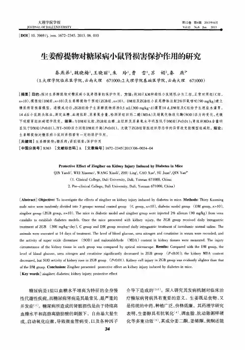 生姜醇提物对糖尿病小鼠肾损害保护作用的研究