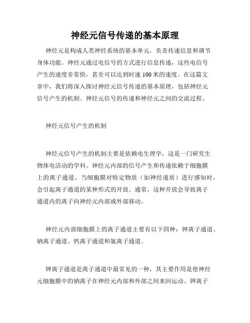 神经元信号传递的基本原理