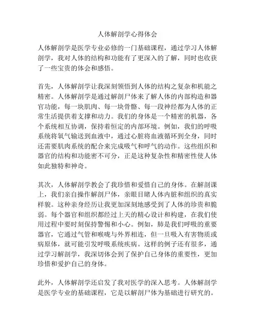 人体解剖学心得体会