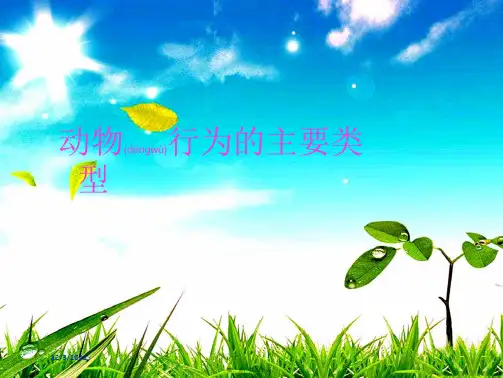 八年级生物上册 第16章第2节动物行为的主要类型课件2上册生物课件