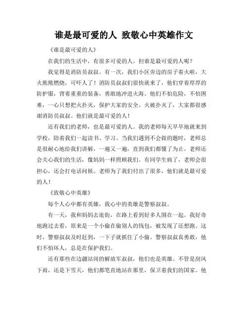 谁是最可爱的人 致敬心中英雄作文