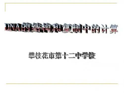 DNA的结构与复制例题