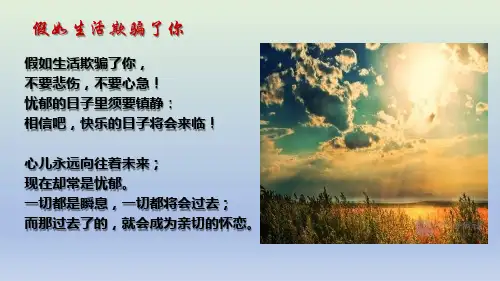 统编版 高中语文选择性必修中册  《致大海》课件