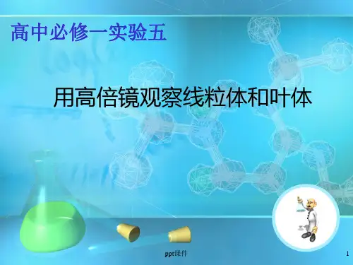 高中必修一实验五--用高倍镜观察线粒体和叶绿体  ppt课件