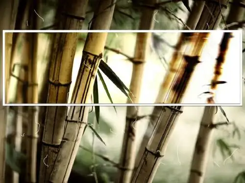 中国风—清雅竹韵ppt模板(动画：下载后播放)