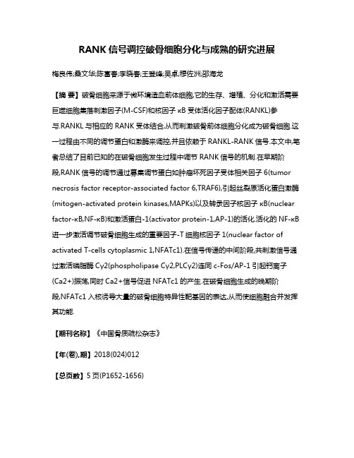 RANK信号调控破骨细胞分化与成熟的研究进展