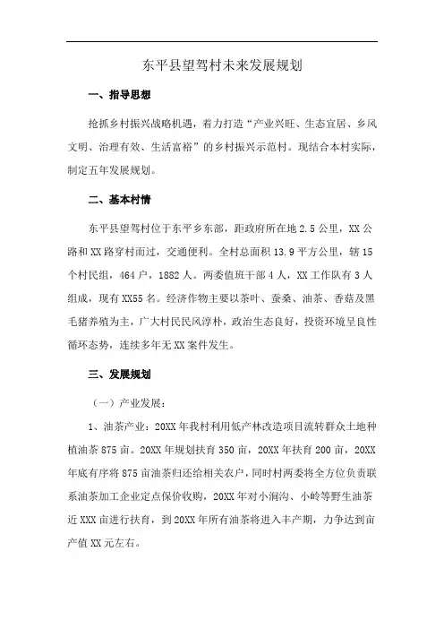 东平县望驾村未来发展规划