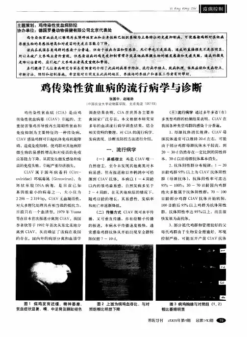 鸡传染性贫血病的流行病学与诊断