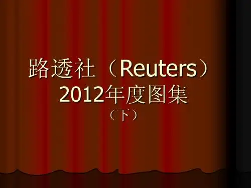 路透社(Reuters)2012年度图集(下))