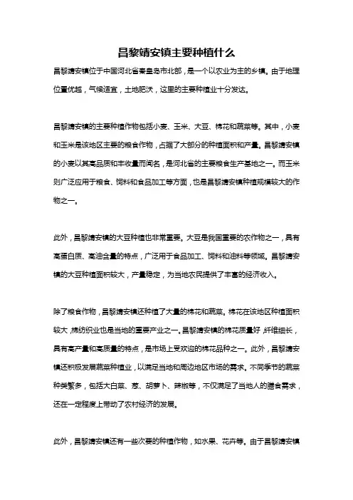 昌黎靖安镇主要种植什么