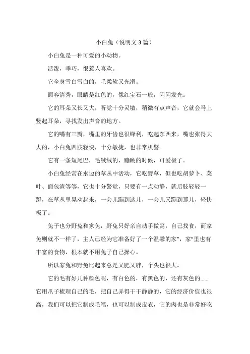 小白兔(说明文3篇)