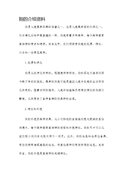 狗的介绍资料