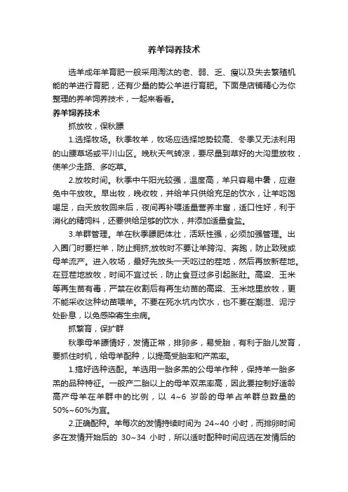 养羊饲养技术