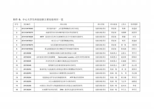 大学生创新项目一览表