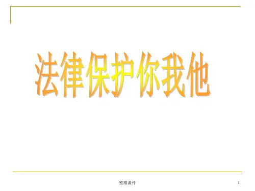 2-3法律保护你我他