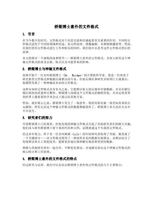 桥梁博士意外的文件格式