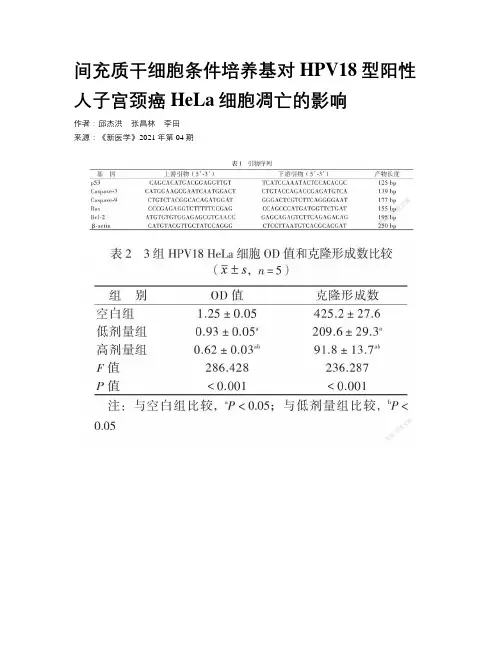 间充质干细胞条件培养基对HPV18型阳性人子宫颈癌HeLa细胞凋亡的影响