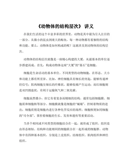 《动物体的结构层次》 讲义