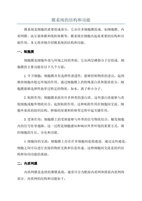 膜系统的结构和功能
