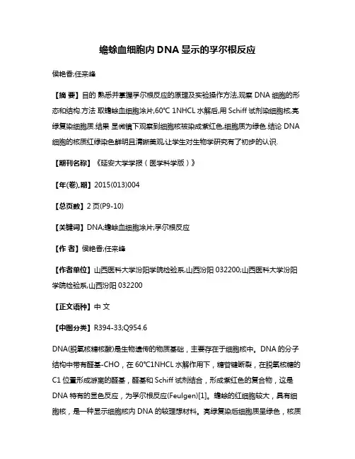 蟾蜍血细胞内DNA显示的孚尔根反应