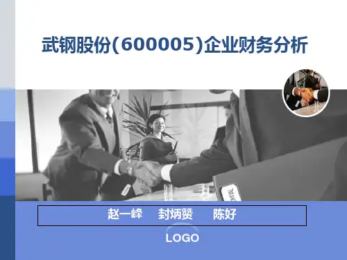 武钢股份(600005)企业财务分析PPT课件