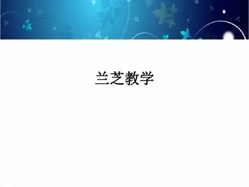 兰芝ppt课件