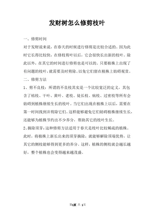 发财树怎么修剪枝叶 