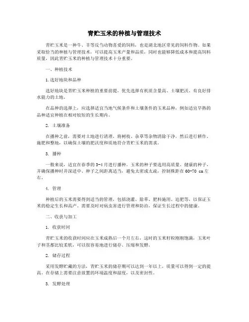 青贮玉米的种植与管理技术