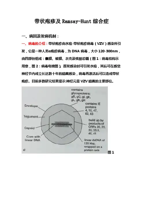 RamsayHuntsyndrome整理资料