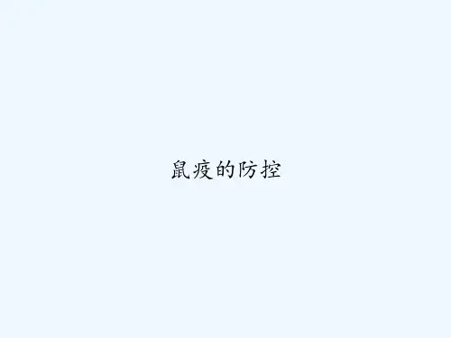 鼠疫的防控 PPT