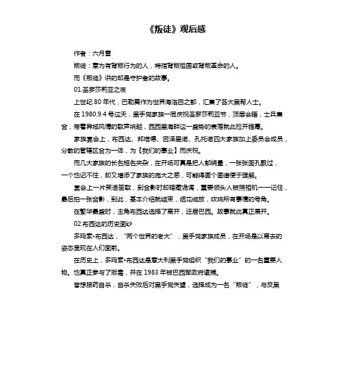 《叛徒》观后感