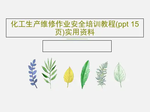 化工生产维修作业安全培训教程(ppt 15页)实用资料PPT文档共17页