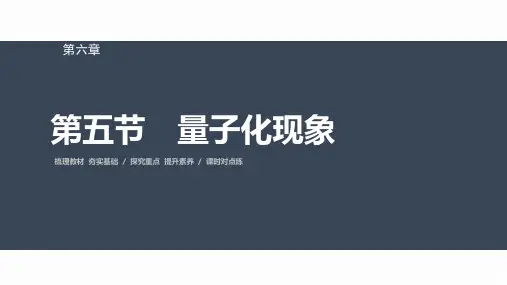高中物理必修三第六章 第五节 量子化现象