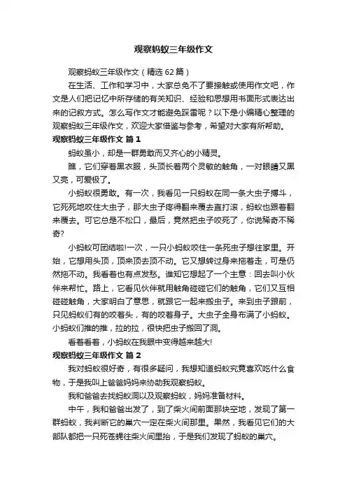 观察蚂蚁三年级作文（精选62篇）