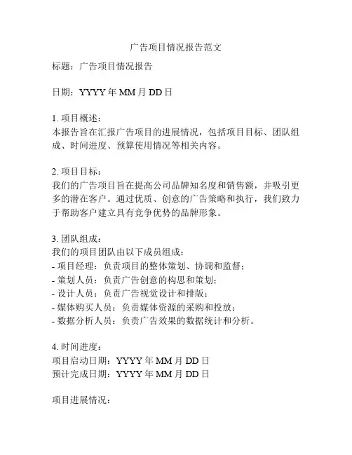 广告项目情况报告范文