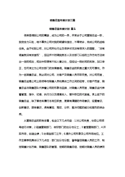 销售总监年度计划大全3篇