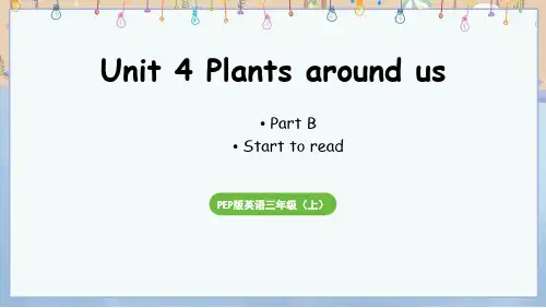 新人教版3年级上册英语教学课件 Unit 4 Part B 第6课时Start to read